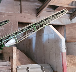xiang2